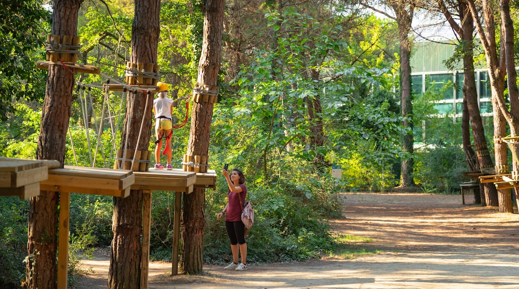 Parque de aventuras CerviAvventura