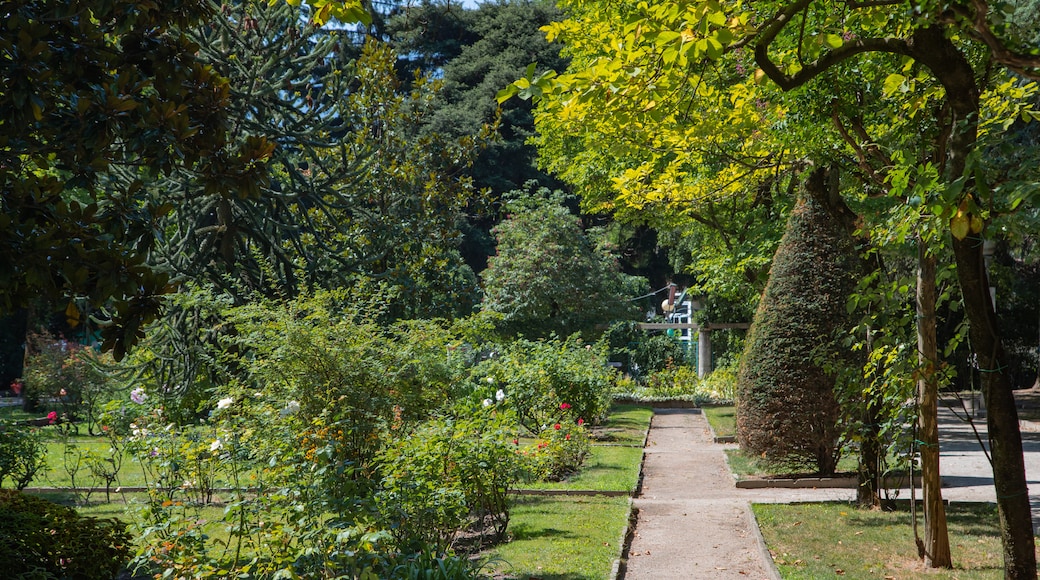 Parque Isabel