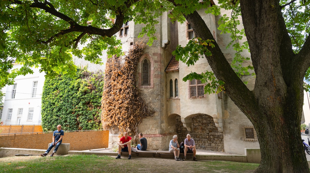 Landesfürstliche Burg