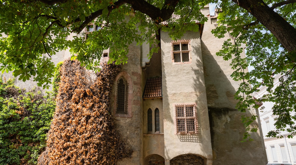 Landesfürstliche Burg