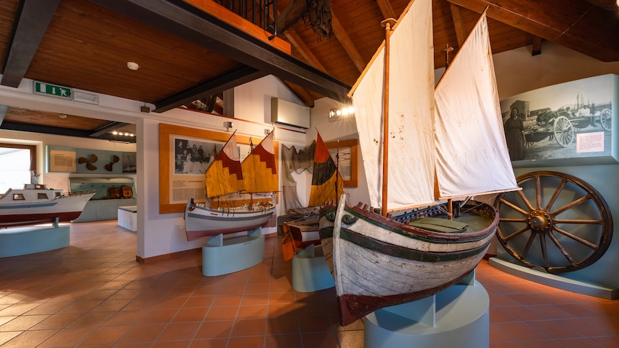 Museo della Regina