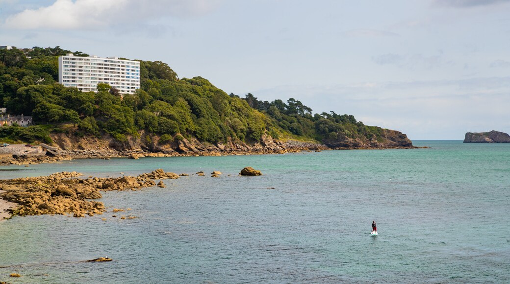 Meadfoot Beach