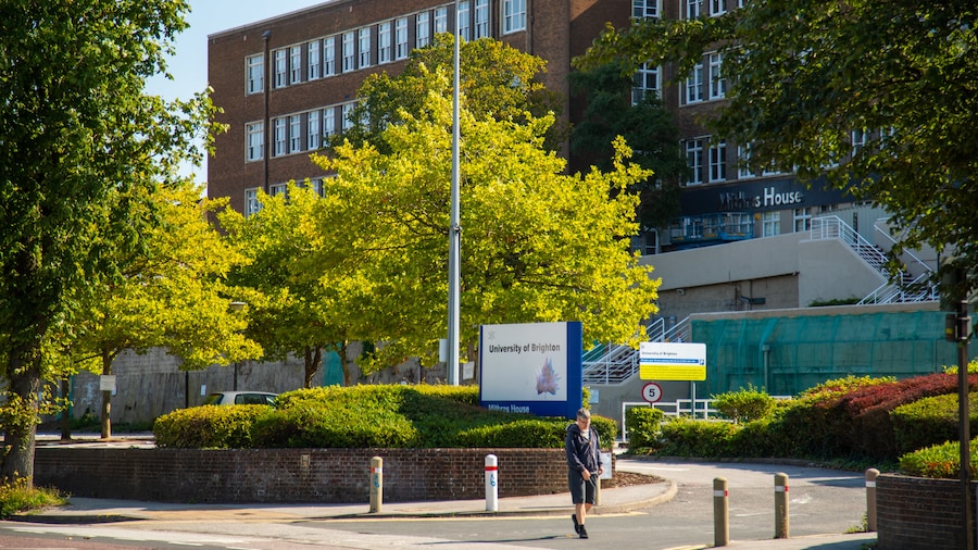 Universitas Brighton