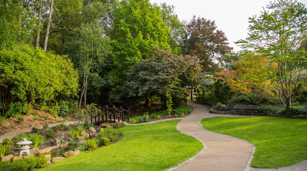 Valley Gardens