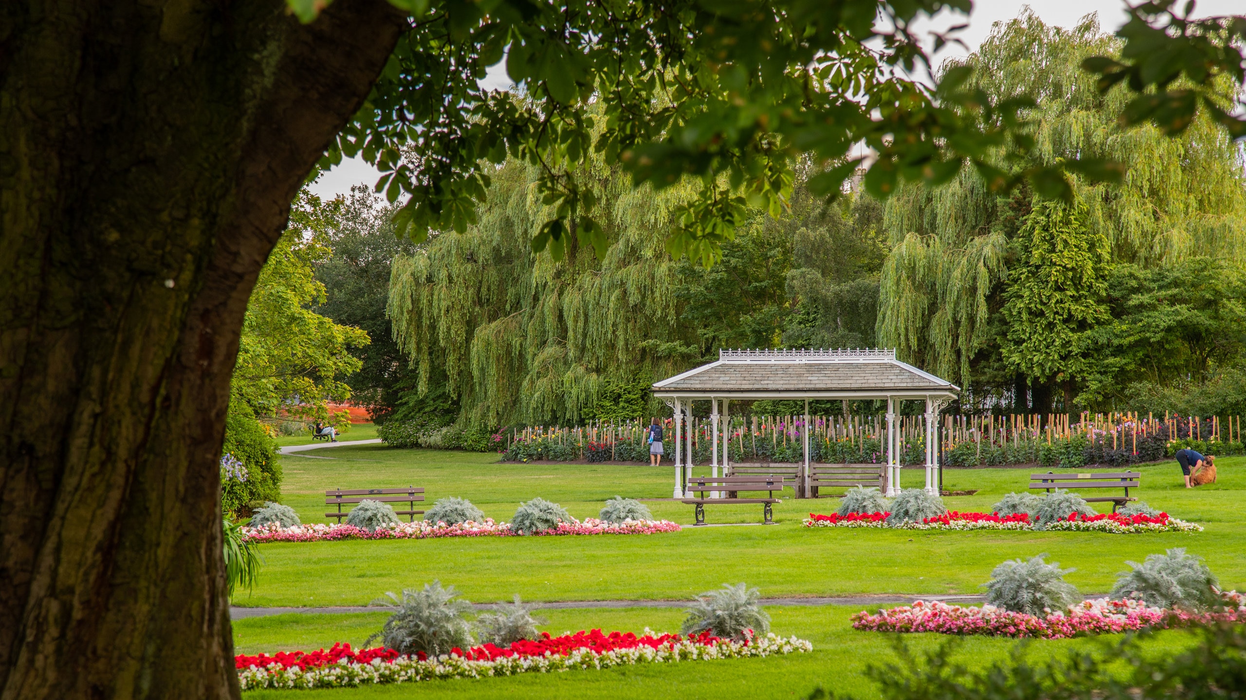 Visit Harrogate: 2025 Travel Guide for Harrogate, England
