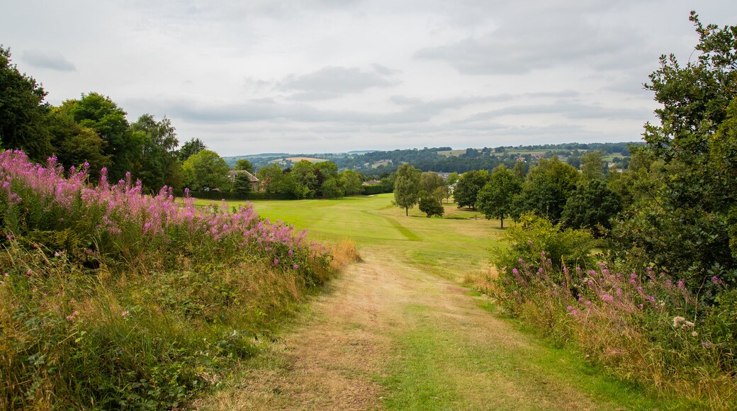 Pannal Golf Club