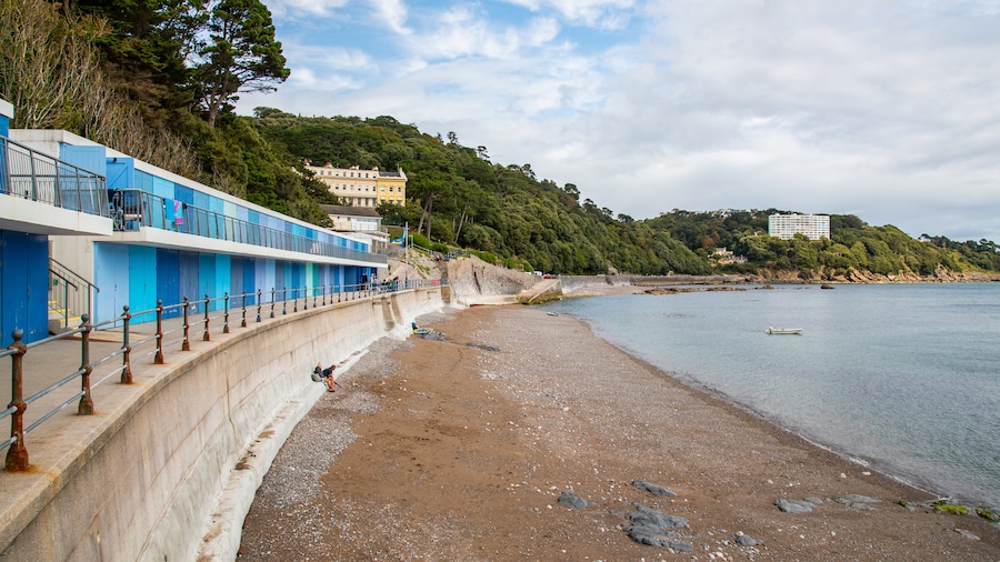 Meadfoot Beach