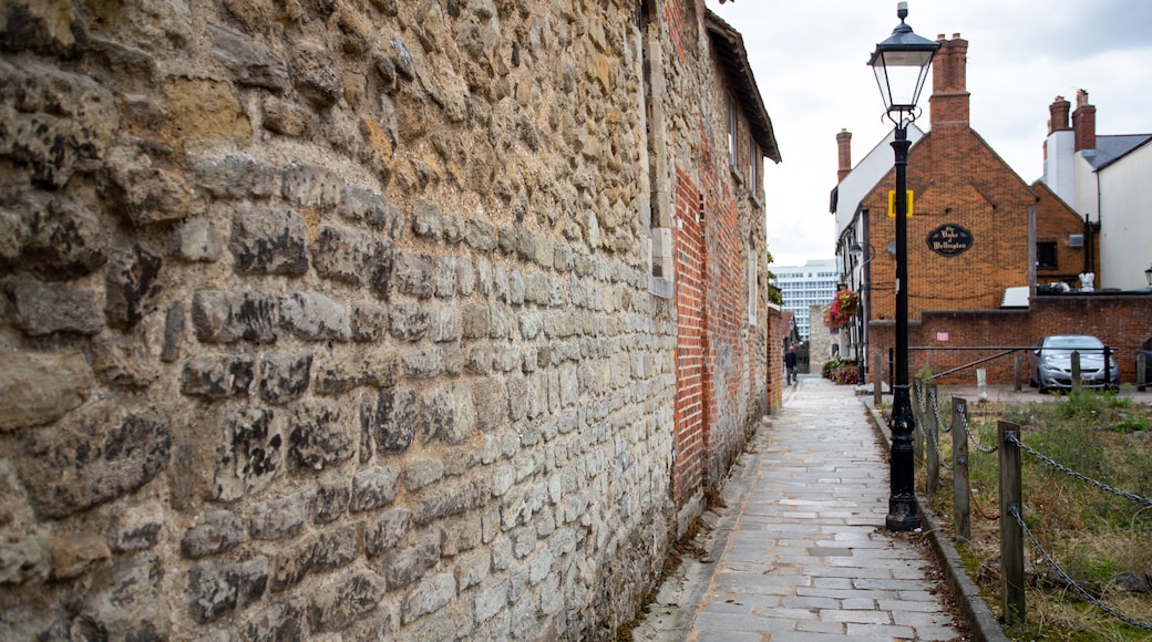 Medieval Merchant's House