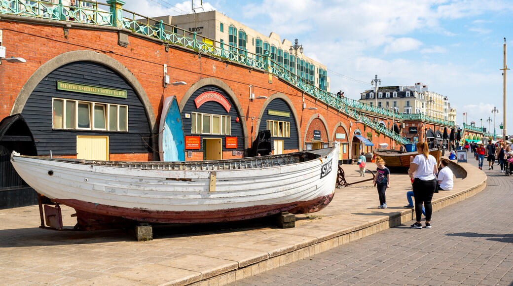 Museo della pesca di Brighton