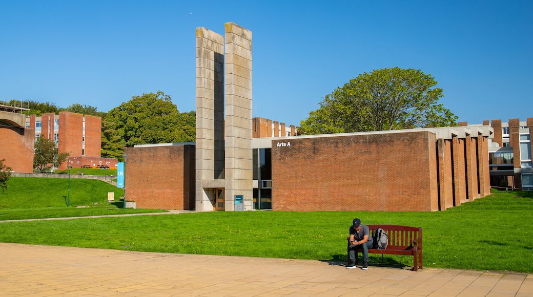 University of Sussex