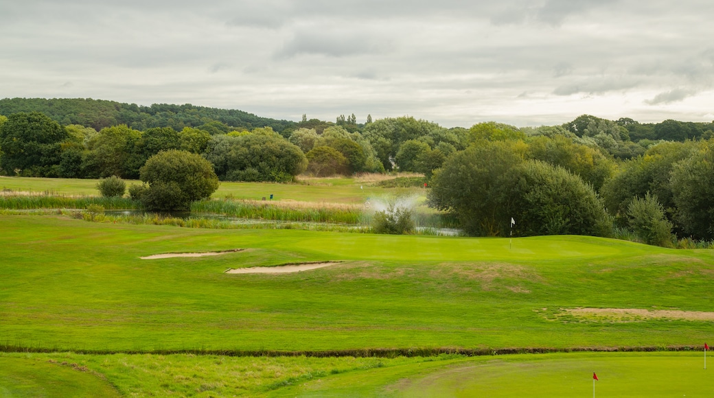 Playgolf Bournemouth