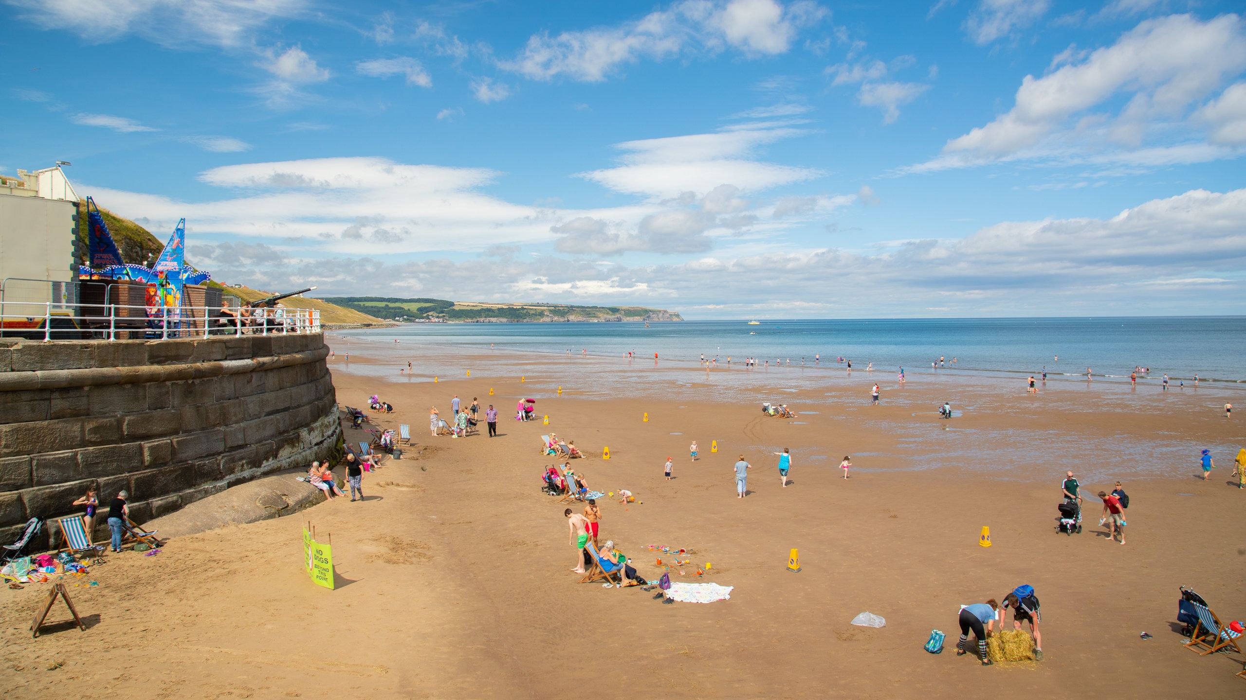 Are Whitby Beaches Dog Friendly at johnnybzaleskio blog