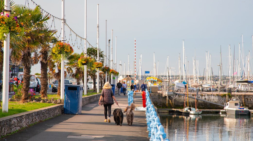 Torquay Marina