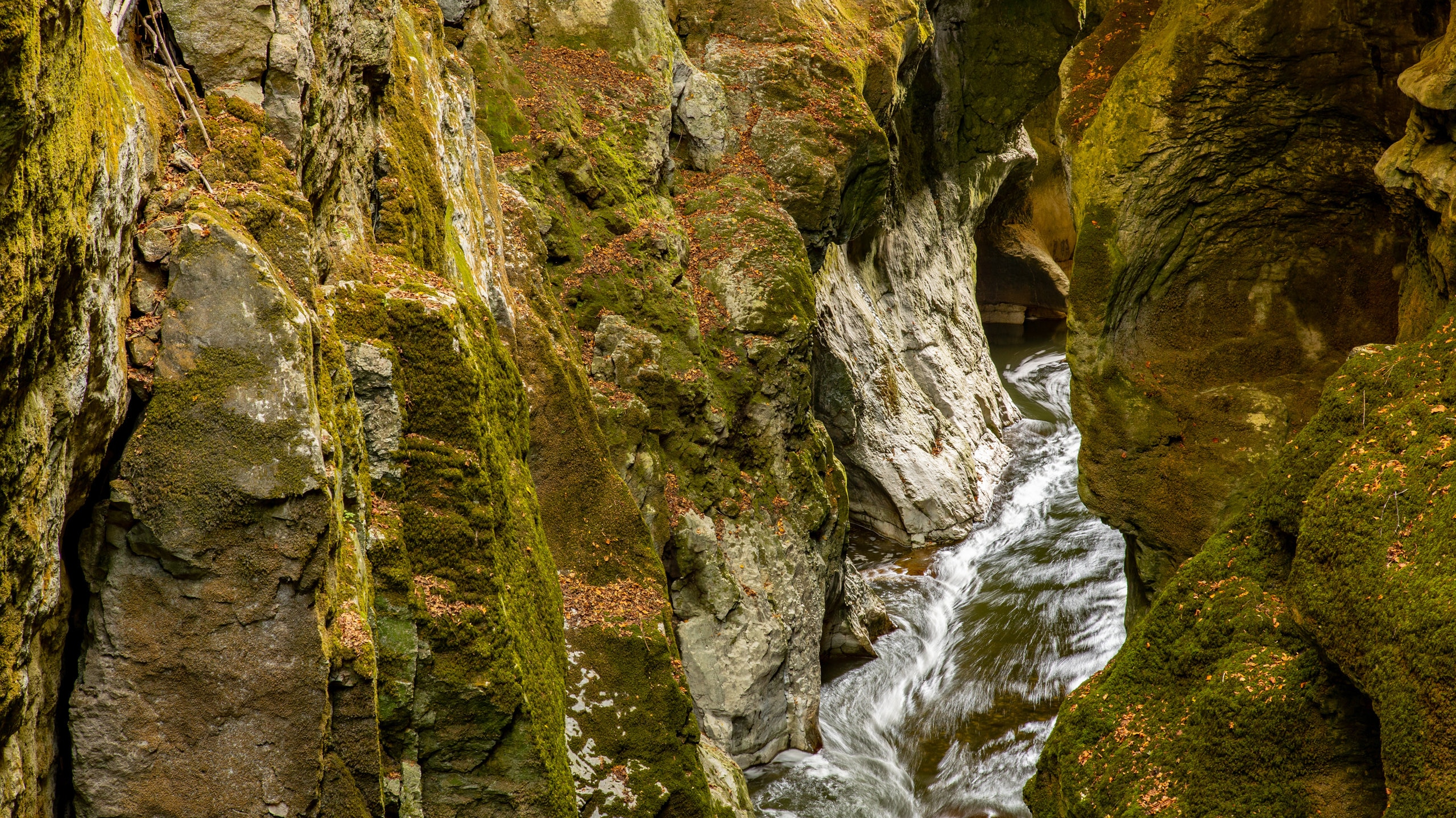 Visit  Gorges du Fier