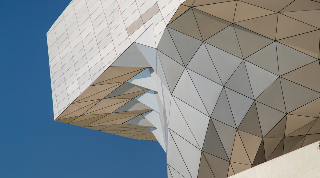 Musée des Confluences