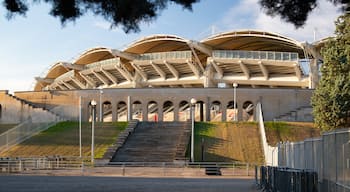 Stade Gerland