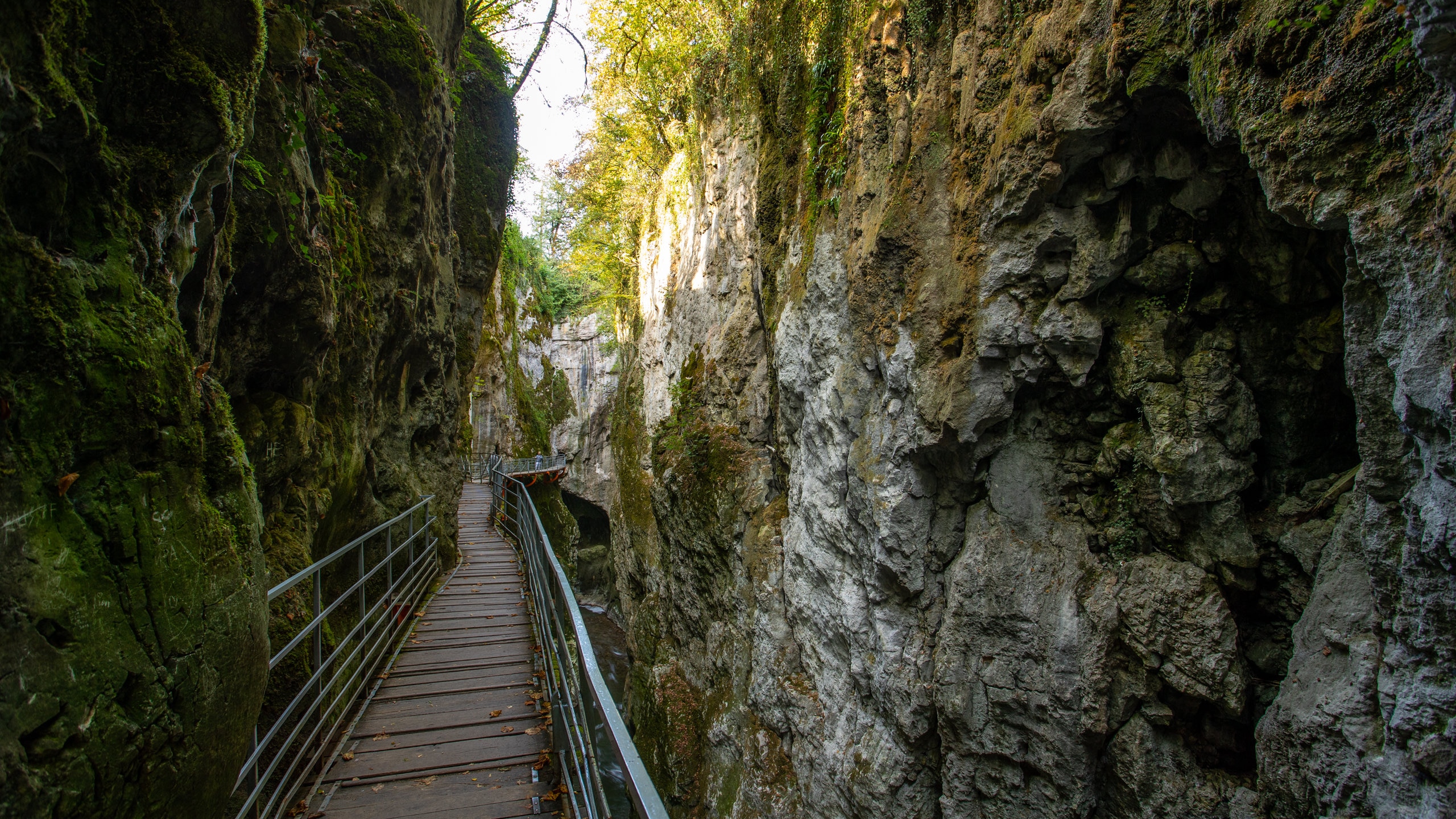 Visit  Gorges du Fier