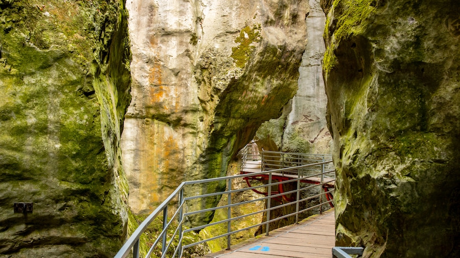 Gorges du Fier