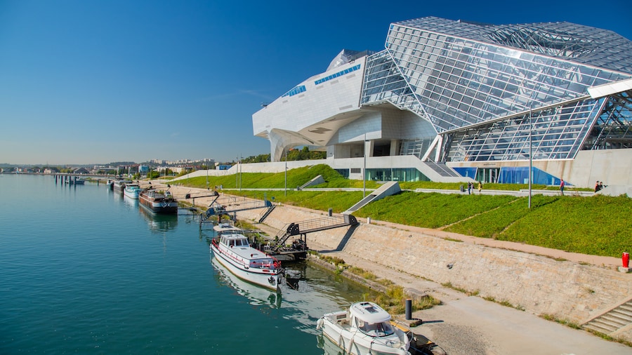Musée des Confluences