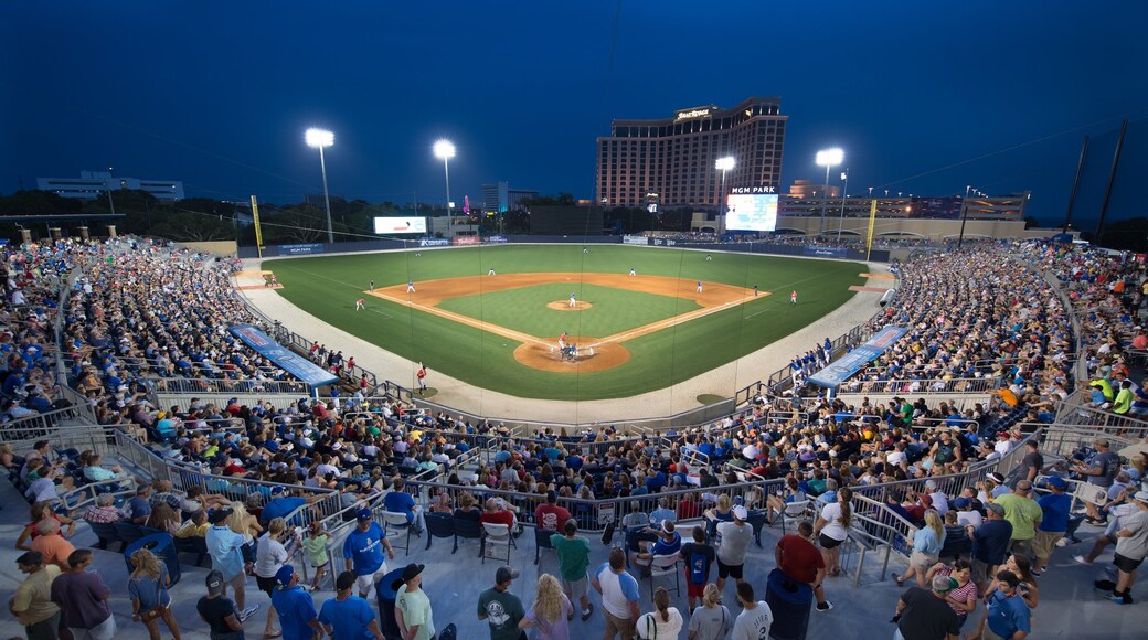 Photo provided by Visit Mississippi Gulf Coast
