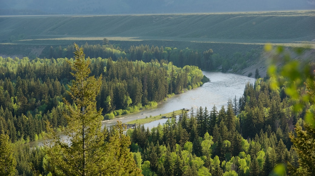 Mirador Snake River Overlook