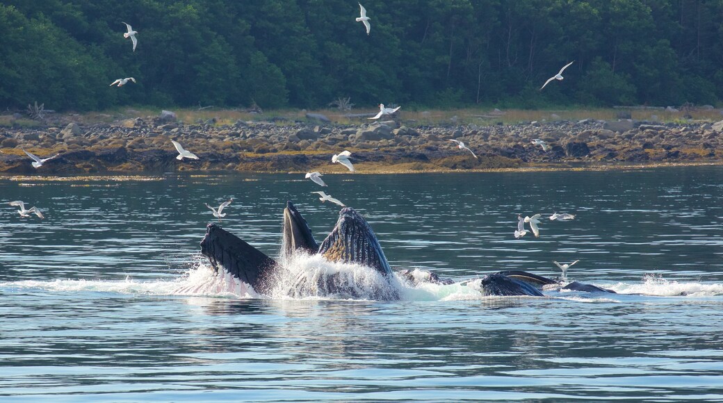 Funter Bay State Marine Park