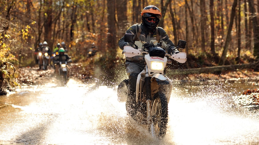 Shawnee National Forest featuring forest scenes and motorcycle riding as well as an individual male