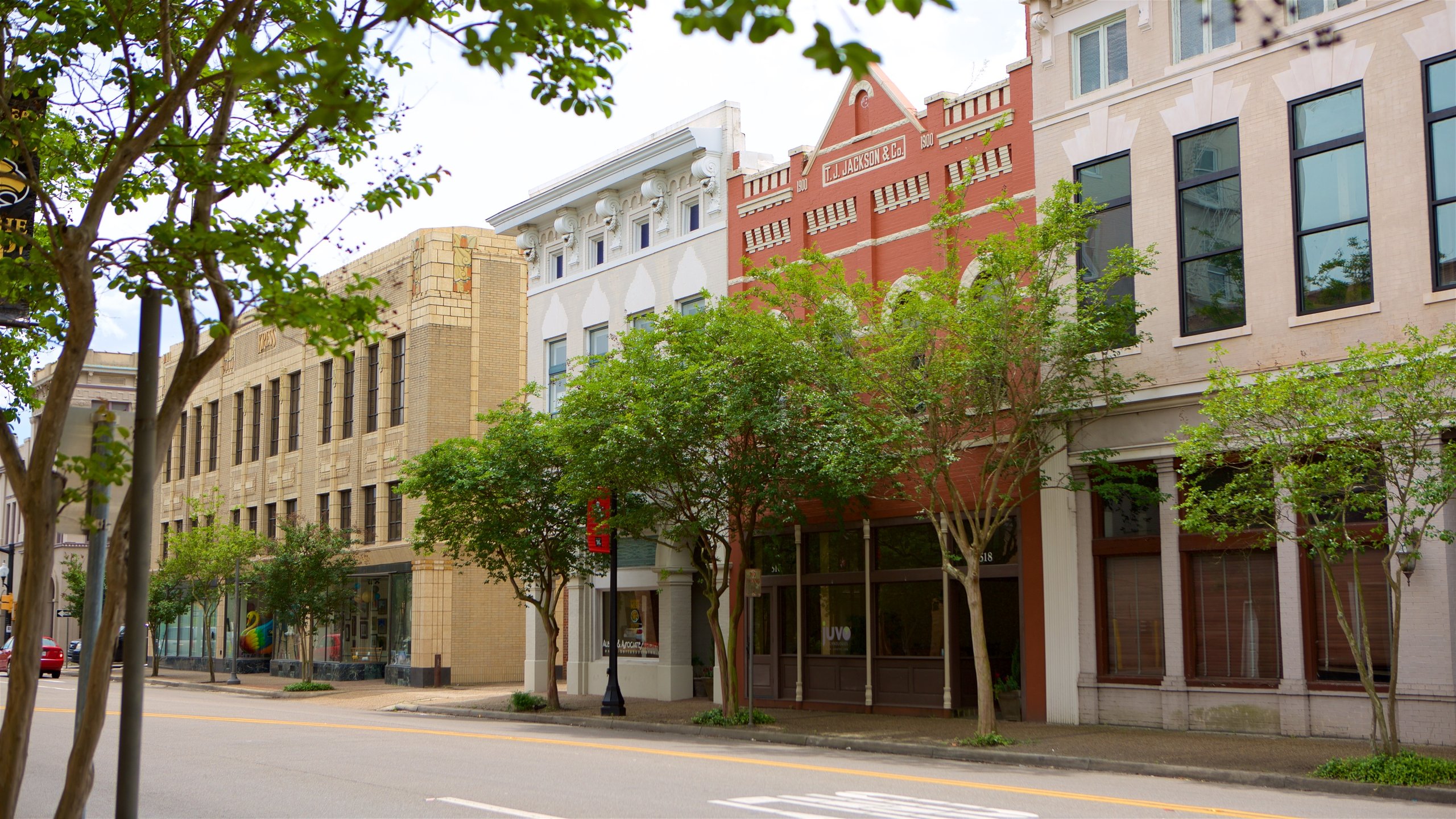 Hattiesburg Travel Guide: Best of Hattiesburg, Mississippi Travel 2024