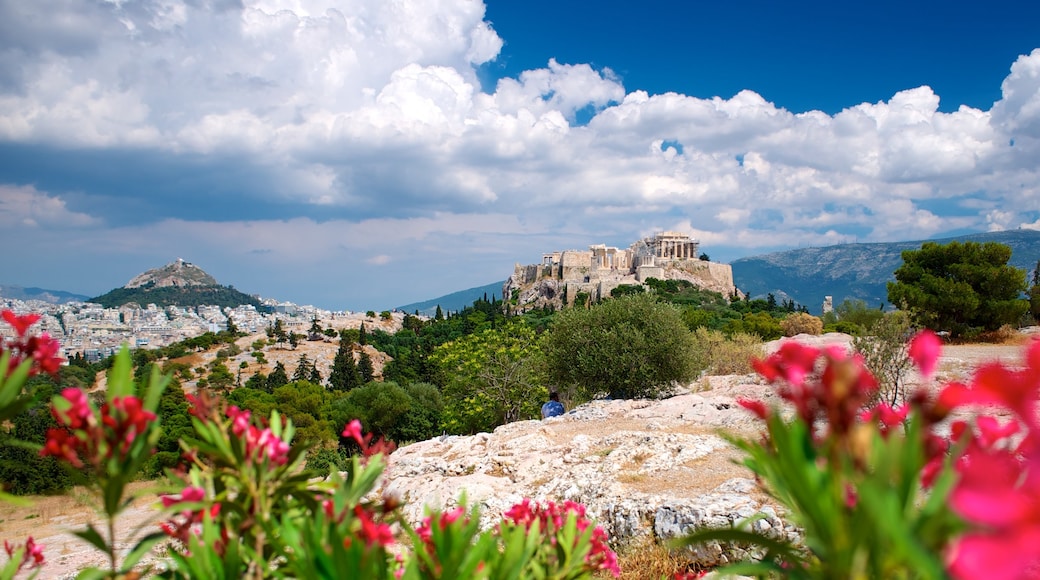 Acropolis showing heritage architecture, landscape views and flowers