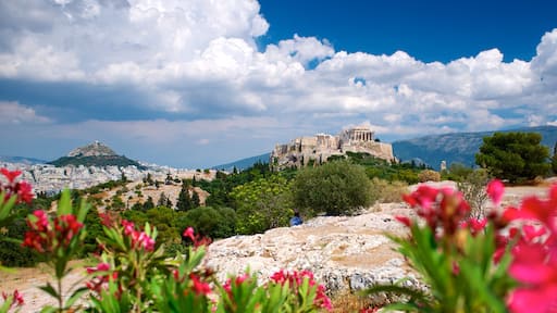Acropolis featuring landscape views, heritage architecture and flowers