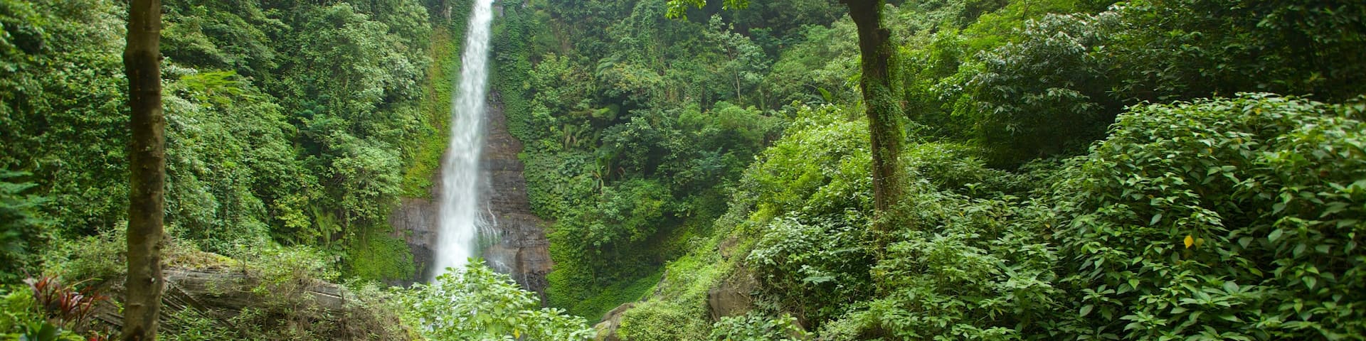 Gitgit Waterfall featuring landscape views, a river or creek and rainforest