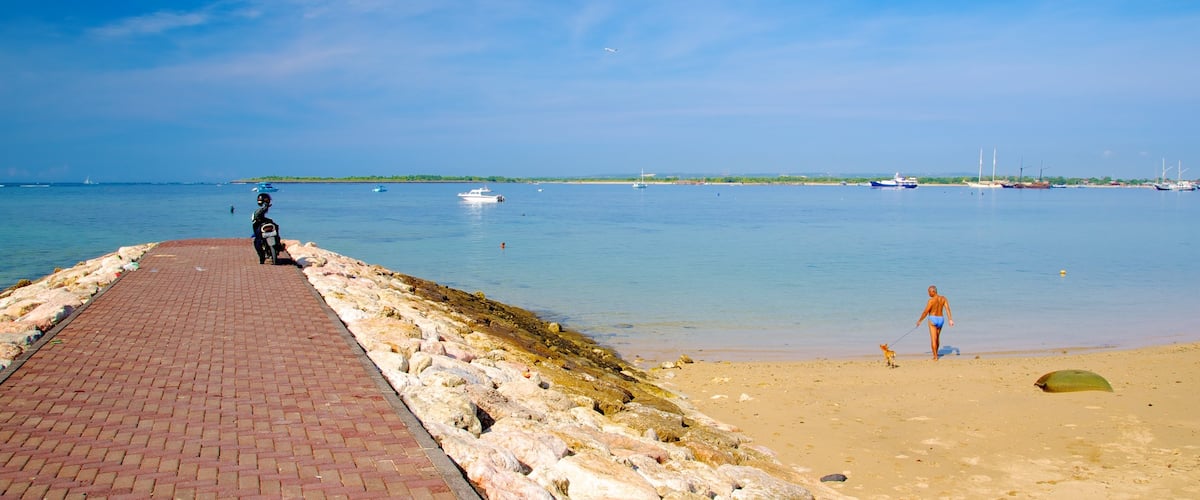 Bali qui includes plage de sable, animaux domestiques ou inoffensifs et vues littorales
