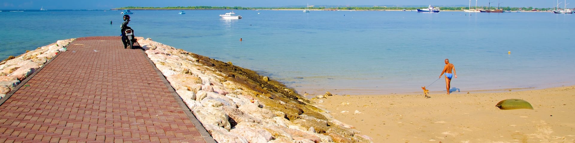 Bali qui includes plage de sable, animaux domestiques ou inoffensifs et vues littorales