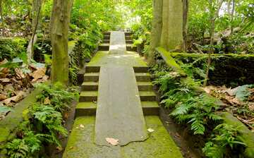 ウブド モンキー フォレスト バリ島 エクスペディア ウブド モンキー フォレスト バリ島 エクスペディア