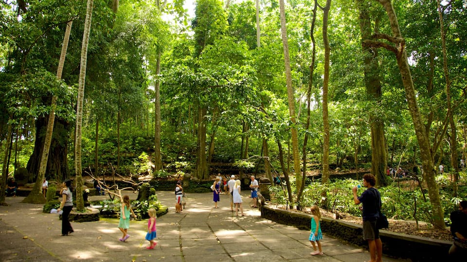 Ubud Monkey Forest featuring a temple or place of worship and rainforest as well as a large group of people