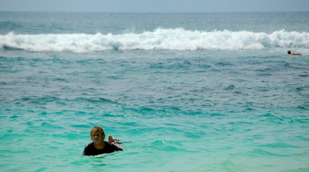 Uluwatu Beach which includes tropical scenes, surfing and waves