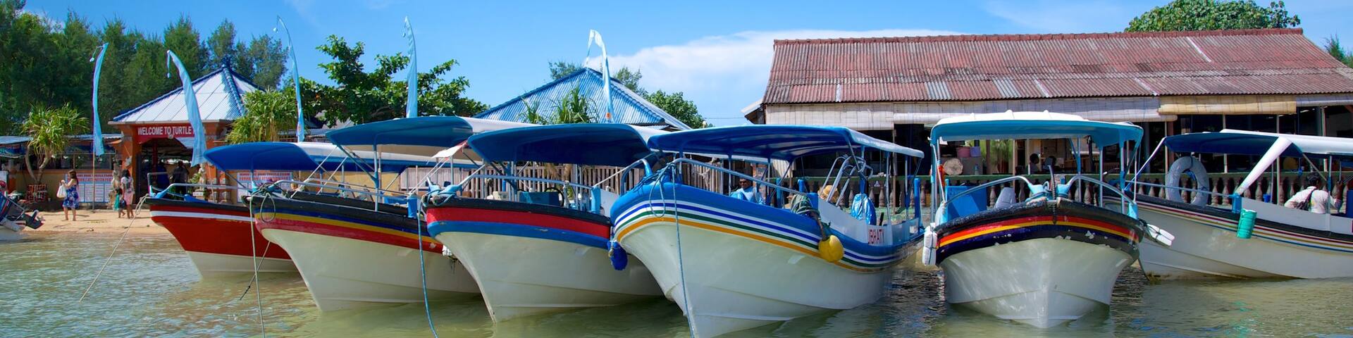 Ăle aux tortues qui includes ville cĂŽtiĂšre, navigation et vues littorales