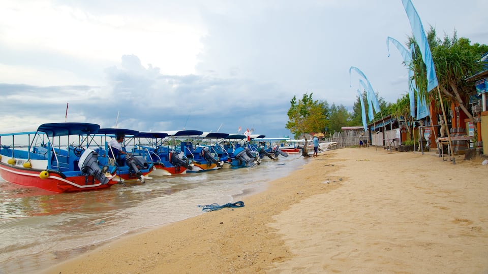 Turtle Island showing a coastal town, boating and a sandy beach