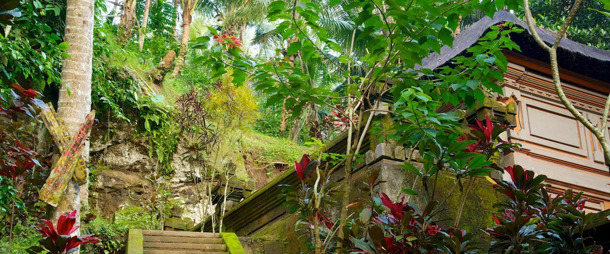 Elephant Cave showing rainforest and a temple or place of worship