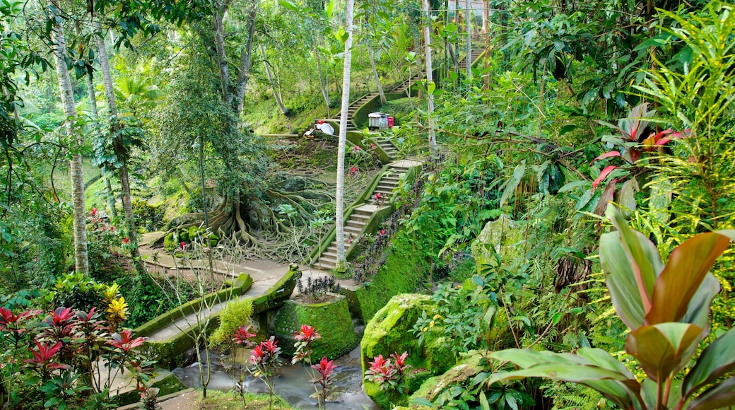 Goa Gajah welches beinhaltet Landschaften, Blumen und Regenwald