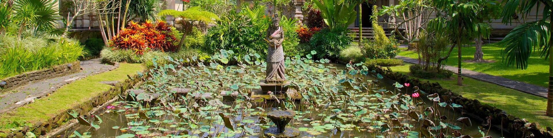 Puri Lukisan Museum featuring tropical scenes, a pond and a park