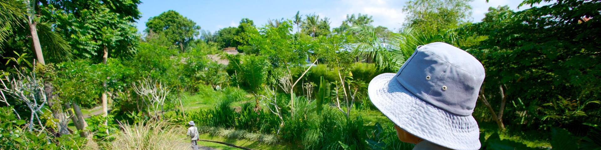 Bali Zoo featuring zoo animals as well as an individual male