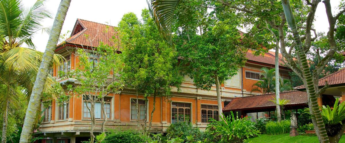 Musée d\'art de Neka montrant maison et jardin