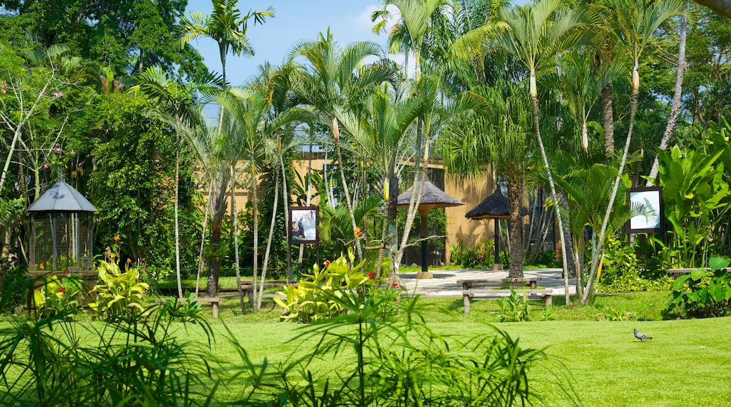 Bali Bird Park som viser en park og tropiske områder