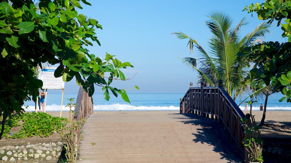 Seminyak mostrando paisagens litorâneas, uma ponte e cenas tropicais