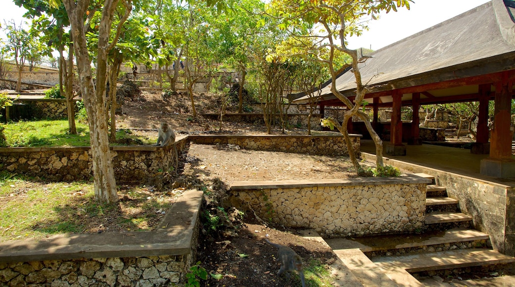 烏魯瓦圖寺 呈现出 廟宇或禮拜堂