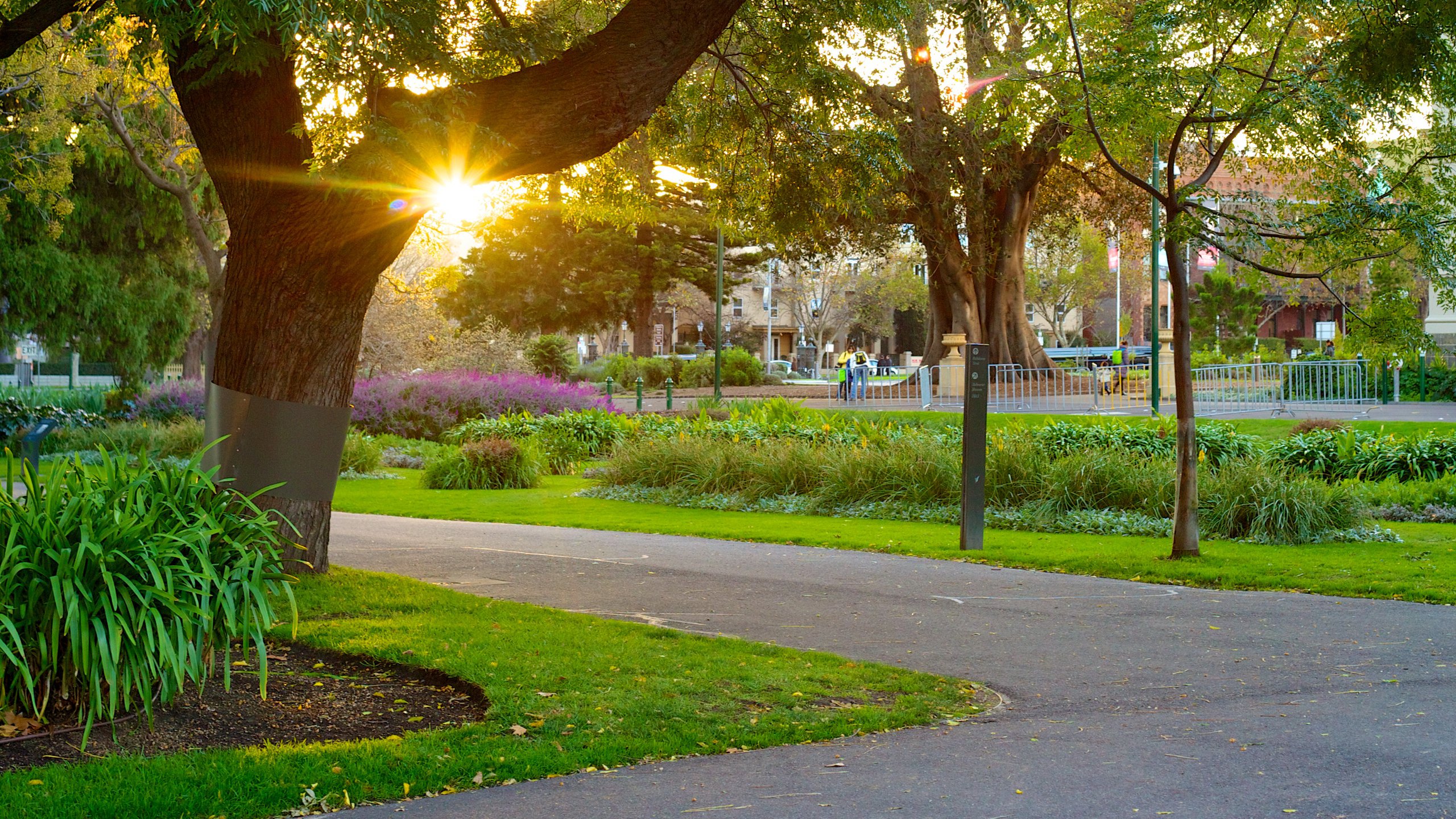 Carlton Gardens showing a garden and a sunset