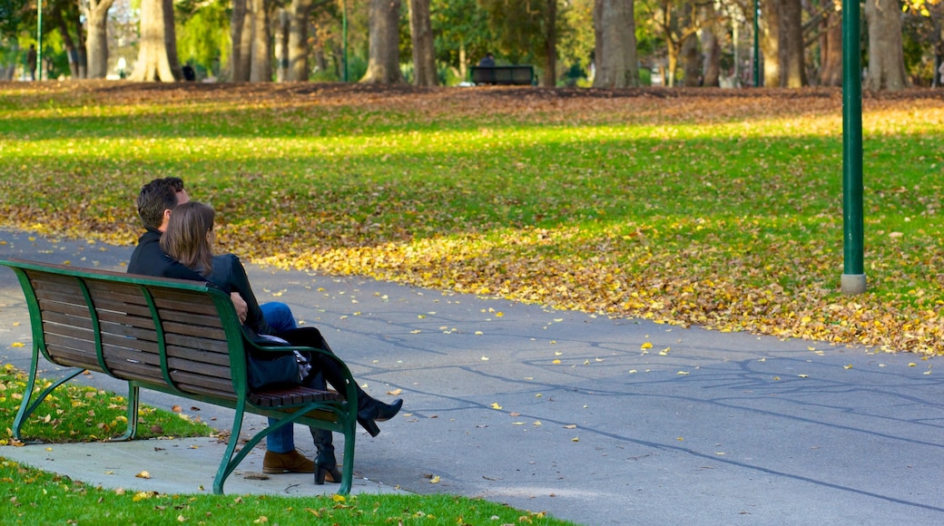 Carlton Gardens which includes autumn leaves and a park as well as a couple