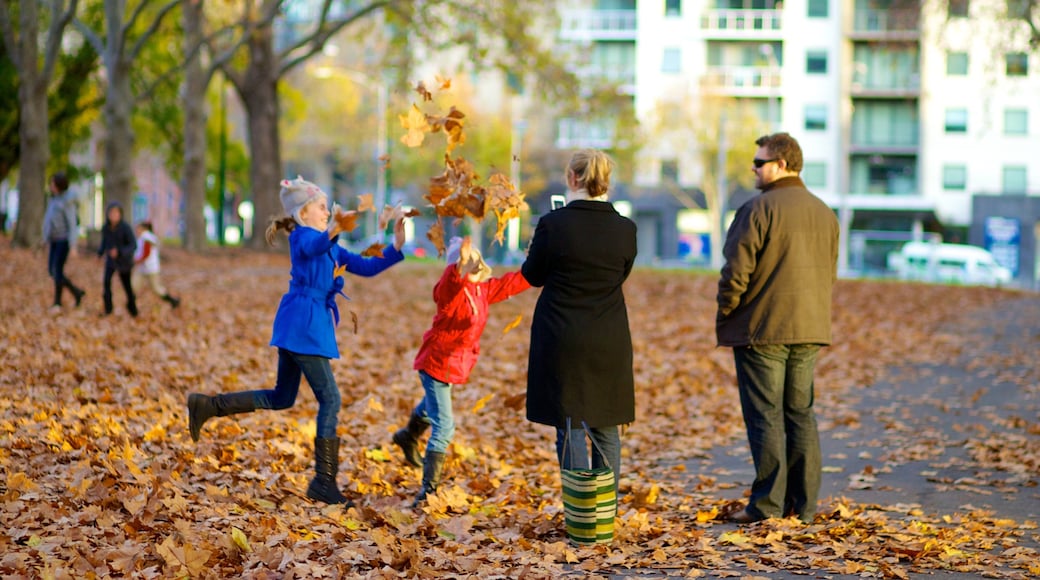 Carlton Gardens which includes autumn leaves and a park as well as a family