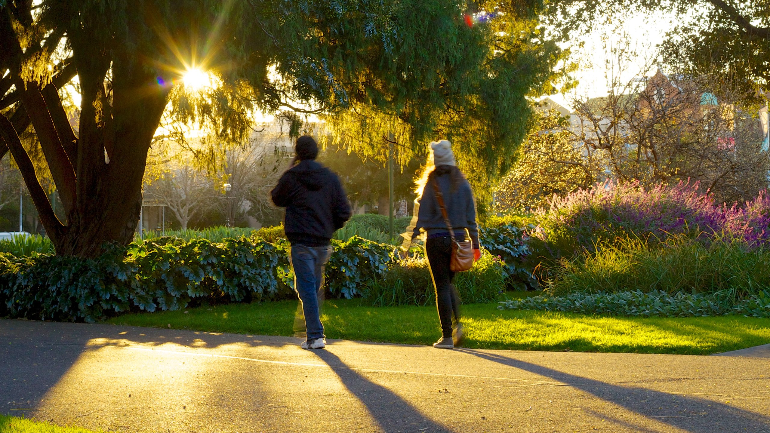 Carlton Gardens featuring hiking or walking, a garden and a sunset